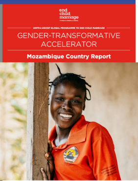 Gender-Transformative Accelerator Tool: Mozambique