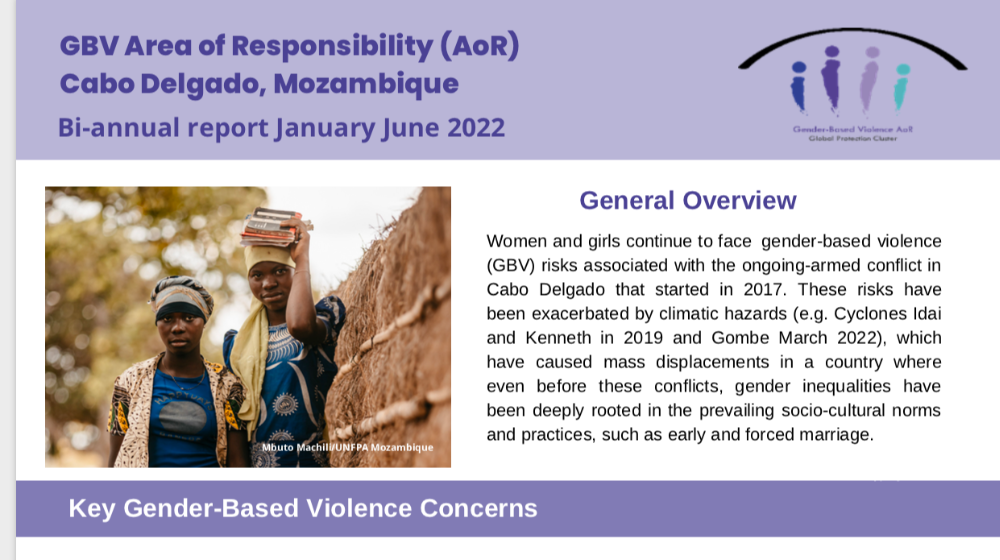 GBV AoR bi-annual report 2022