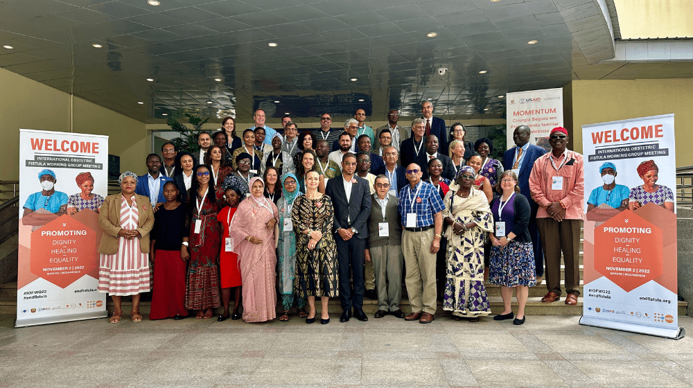 International Obstetric Fistula Working Group