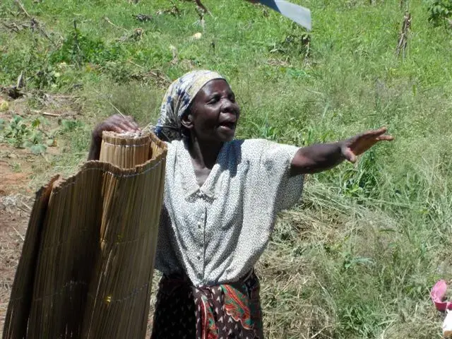 Celebrate our older rights champions!