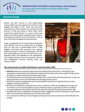 Bi-annual report of the GBV Area of Responsibility (AoR)