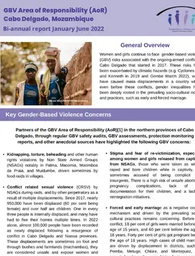 GBV AoR bi-annual report 2022